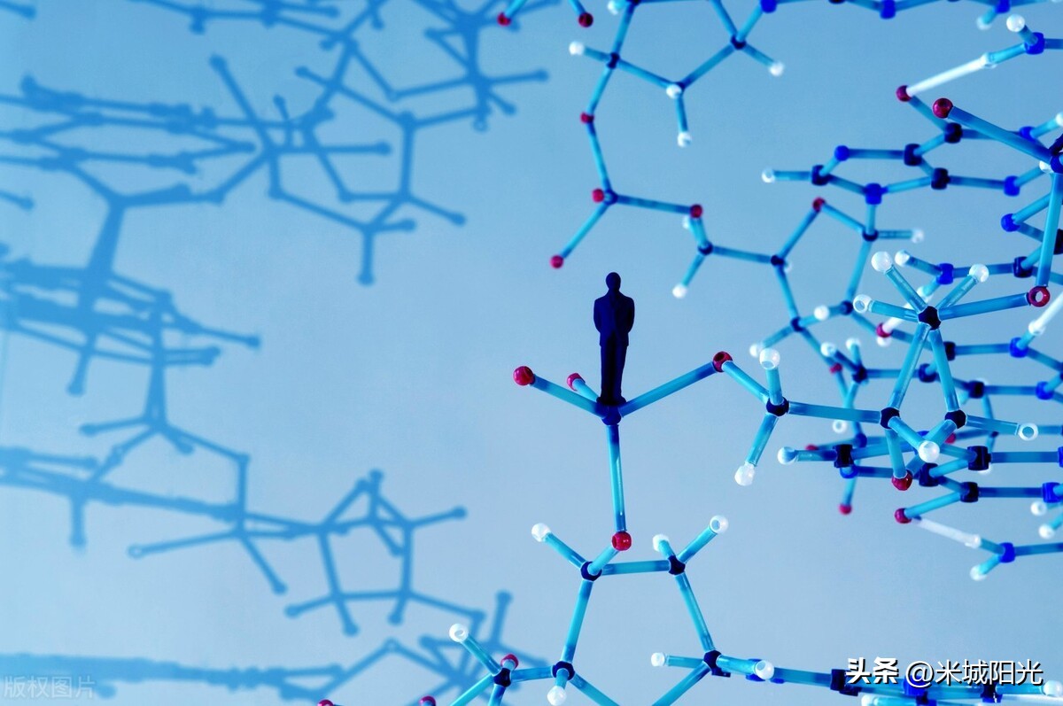 遗传学证实生男生女,生男生女到底是由什么原因决定的