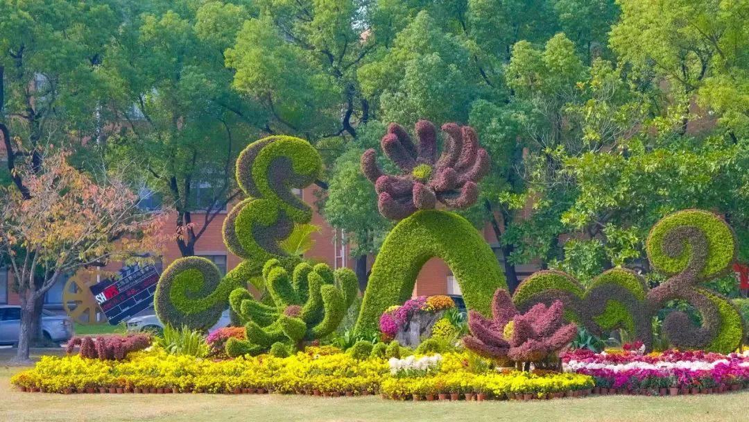 上海大学机械类哪个好,上海大学的冶金工程专业怎么样