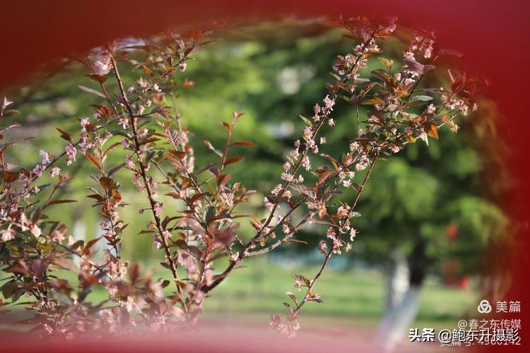 清晨的公园静态美和动态美,运城体育公园夜间灯光