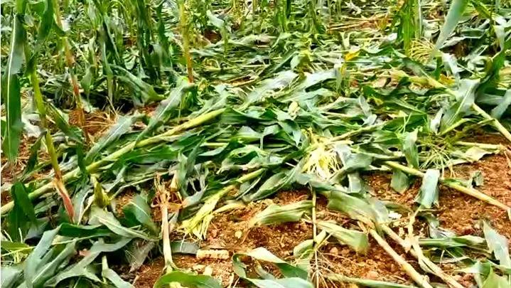 中国河北保定系列变态杀人案,保定特大杀女人案被判死刑了吗