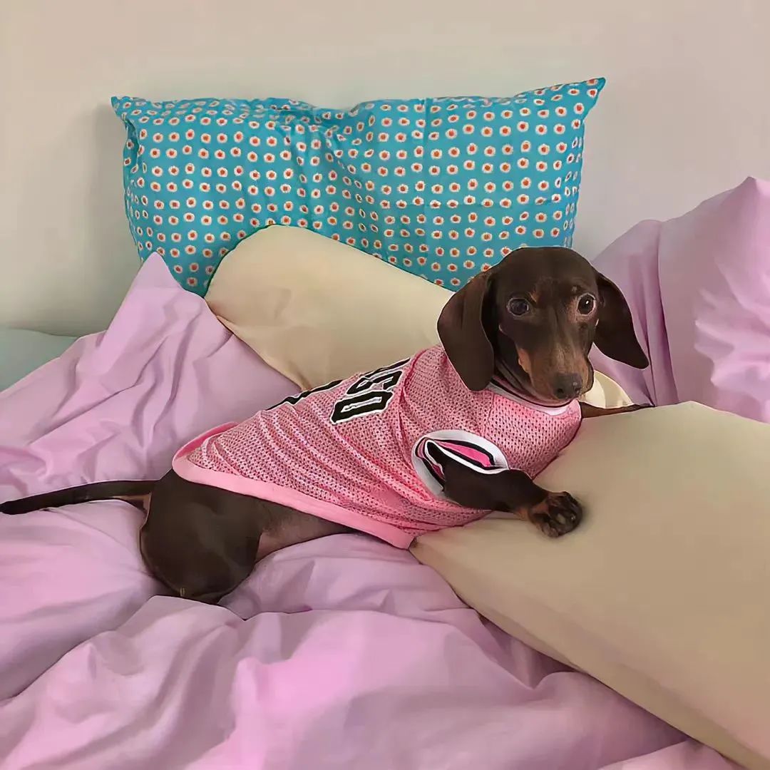 头像高级小众男士用,头像高级小众动漫女