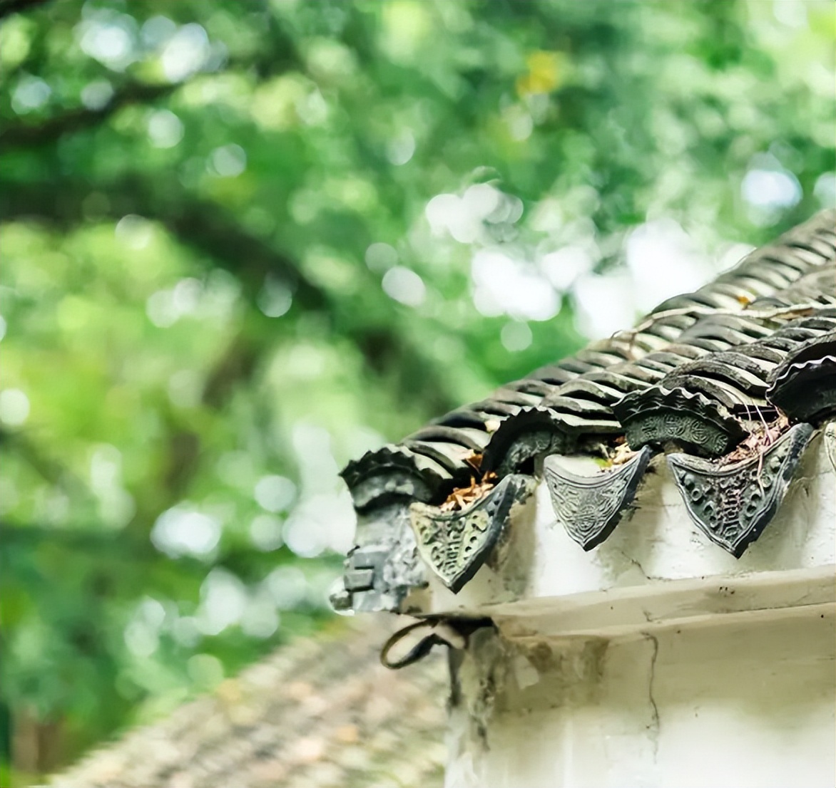 夏日纳凉诗词,描写纳凉的七绝诗