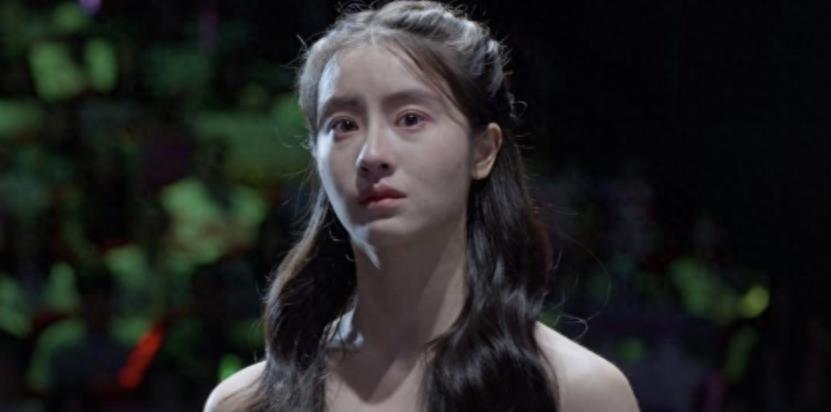 央视又证明了自己“眼光”，接连五天收视第一，这次换张一山火了