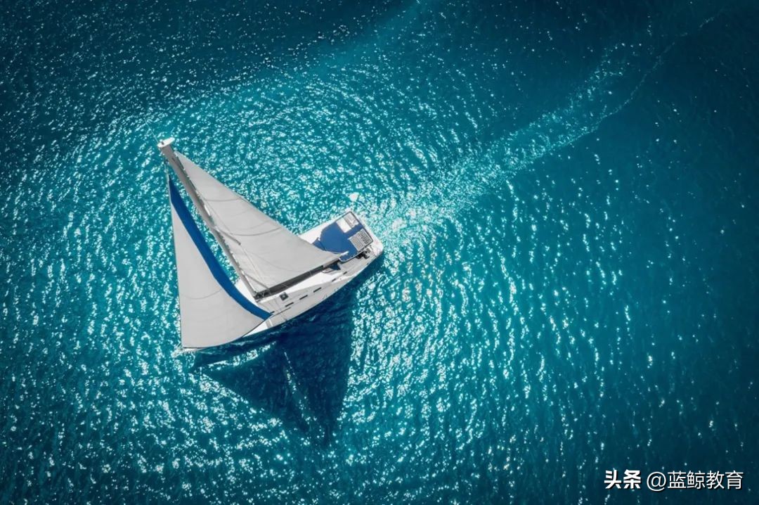 鏁欒偛琛屼笟鍑烘捣,鏁欒偛璧板嚭鍘诲拰寮曡繘鏉ョ殑鍏蜂綋鍐呭