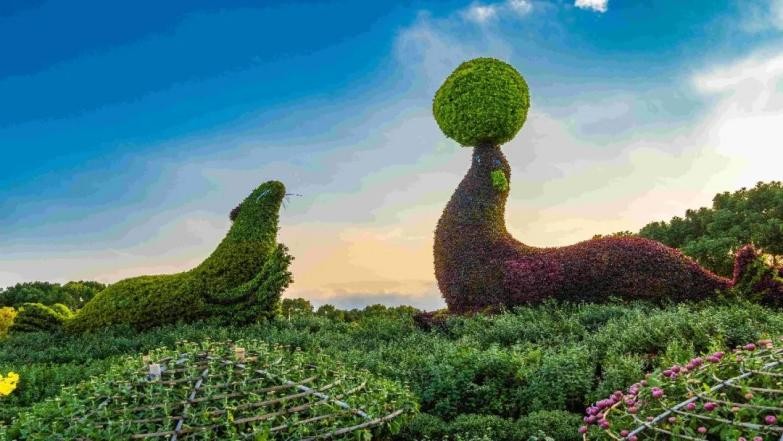 上海高校豪华宿舍,上海神仙级学校