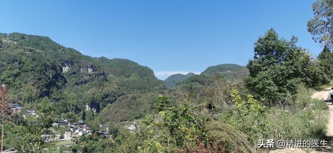 血型实验报告结果分析,血型实验视频