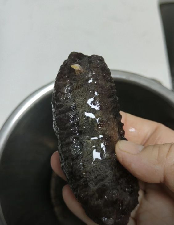 红极参和海参的区别在哪里,海参和红极参的区别