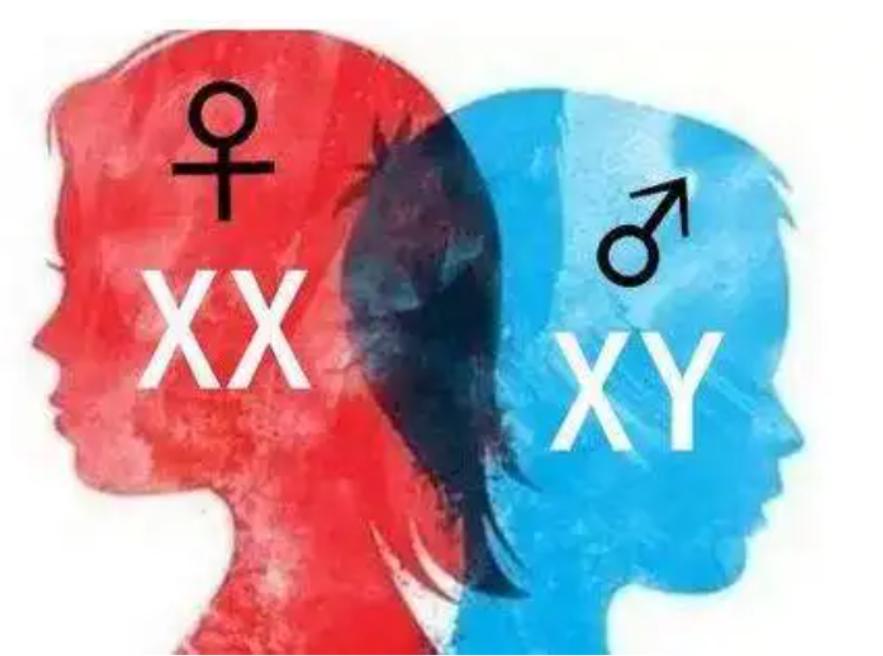 人类祖先留下来的遗传基因,人类性别决定与哪些基因有关