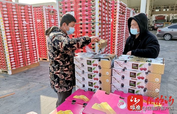 今年水果车厘子市场行情怎么样,临沂水果批发车厘子最新行情