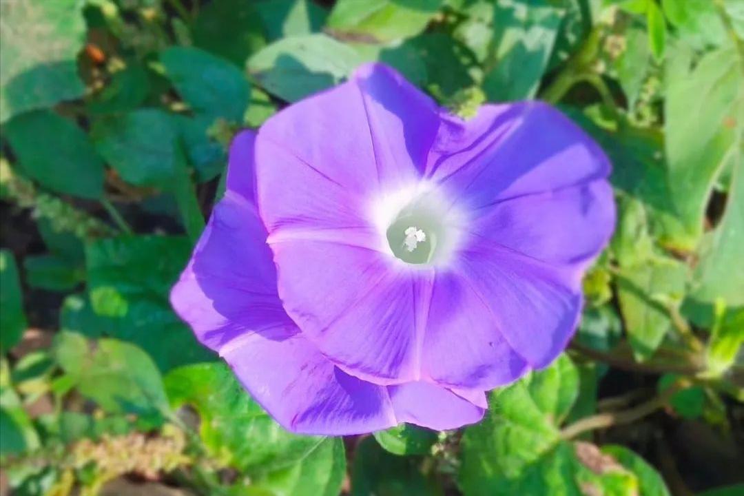 相亲见面两次可以发展到什么地步,同一个相亲对象介绍两次