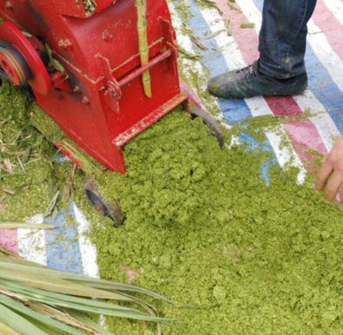 助农第三代超细粉碎机：柳州韦老板分享“土味十足”养殖新方法