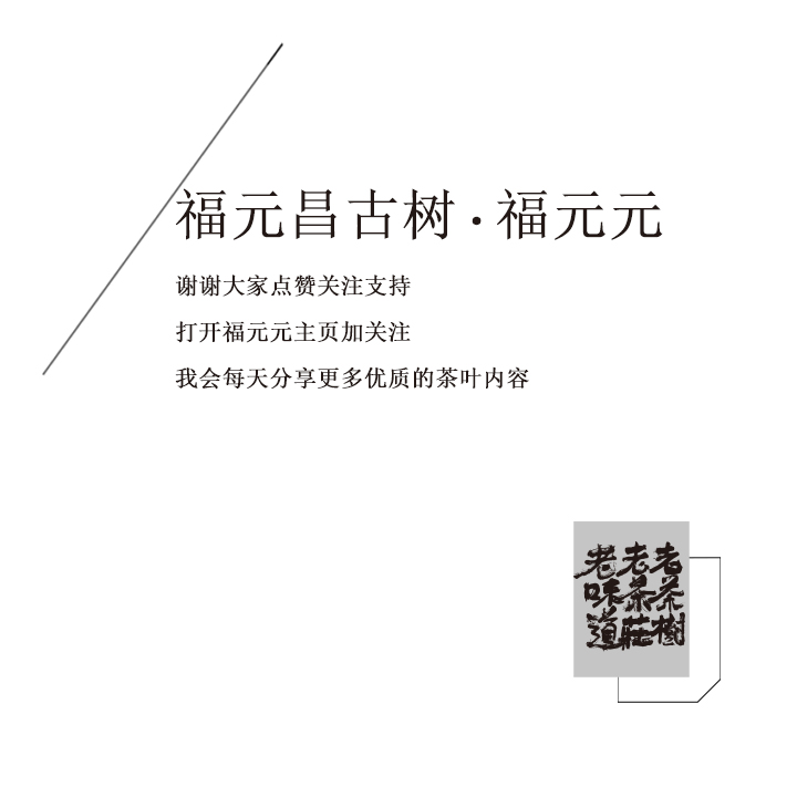 老茶人普洱茶发酵方法,老茶人视频教学