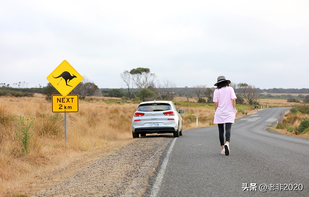 出去旅游要记住这几个路牌,旅游指示路标