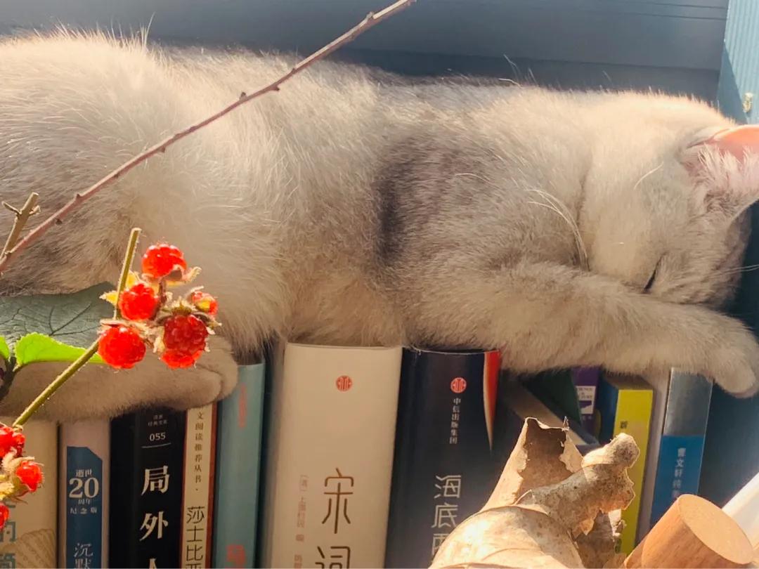 把2021，打个蝴蝶结