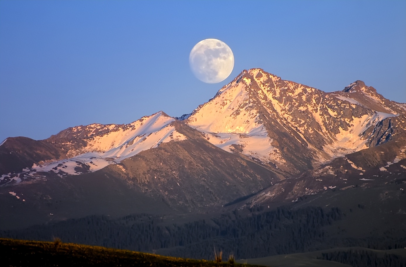 赞美天山的著名诗句,关于天山的诗句和优美词句