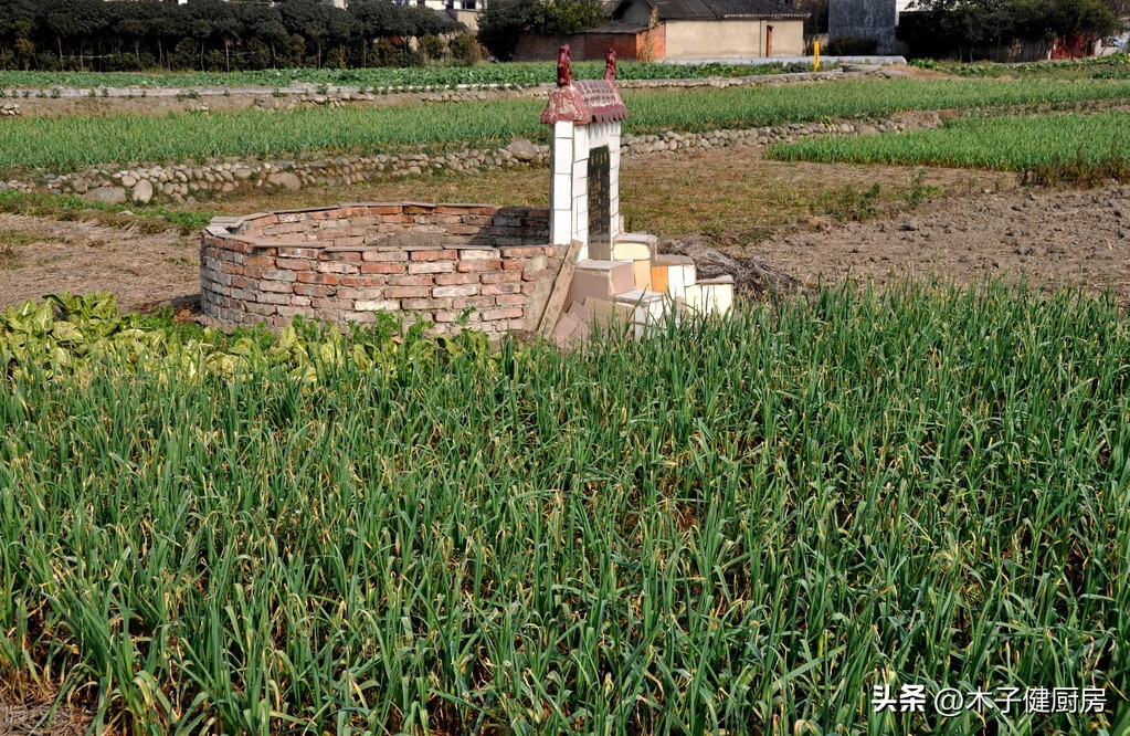 闰月清明上坟注意什么,清明闰月上坟有什么讲究