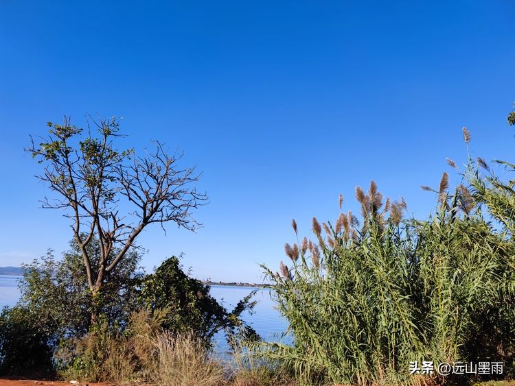 云南昆明滇池小渔村展新颜,滇池边的小渔村