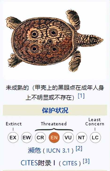 恒河鳖为啥无人敢吃,中国的恒河鳖