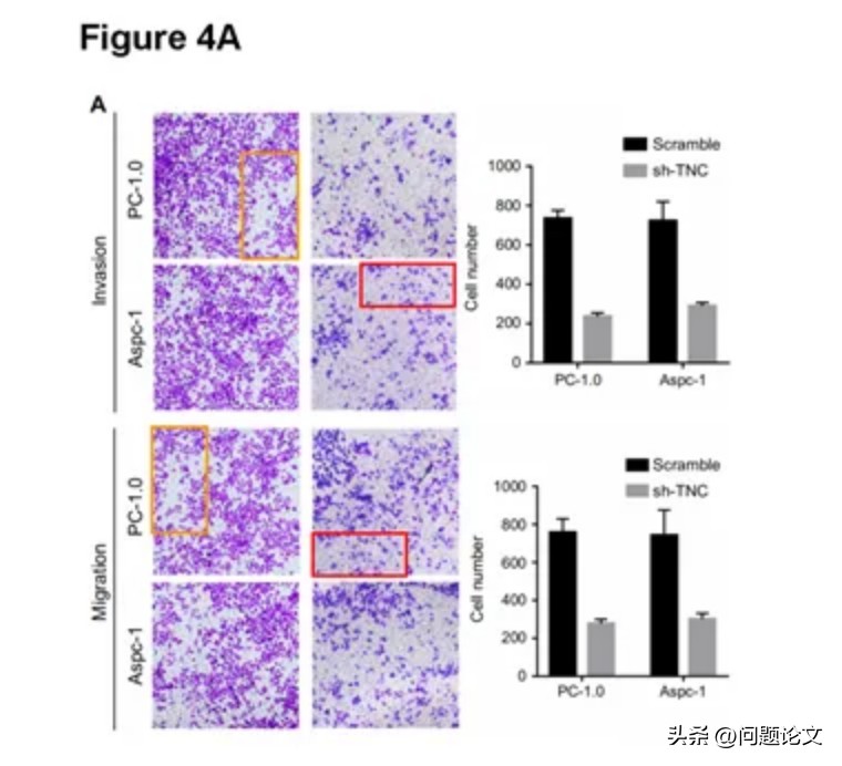 撤的不冤，来自吉林、辽宁、安徽的三篇论文都存在问题