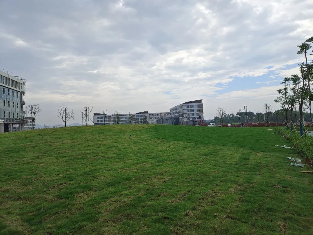 江西现代职业技术学院共青校区,江西现代学院共青产教基地负责人