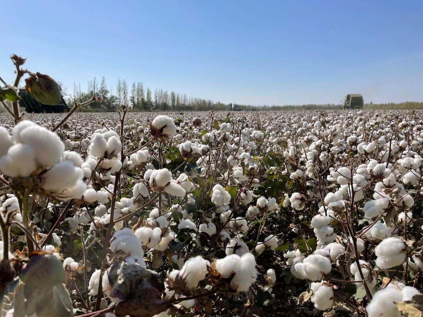 暴跌8000个亿，仓库堆积如山！爆火的耐克，被国内消费者抛弃？