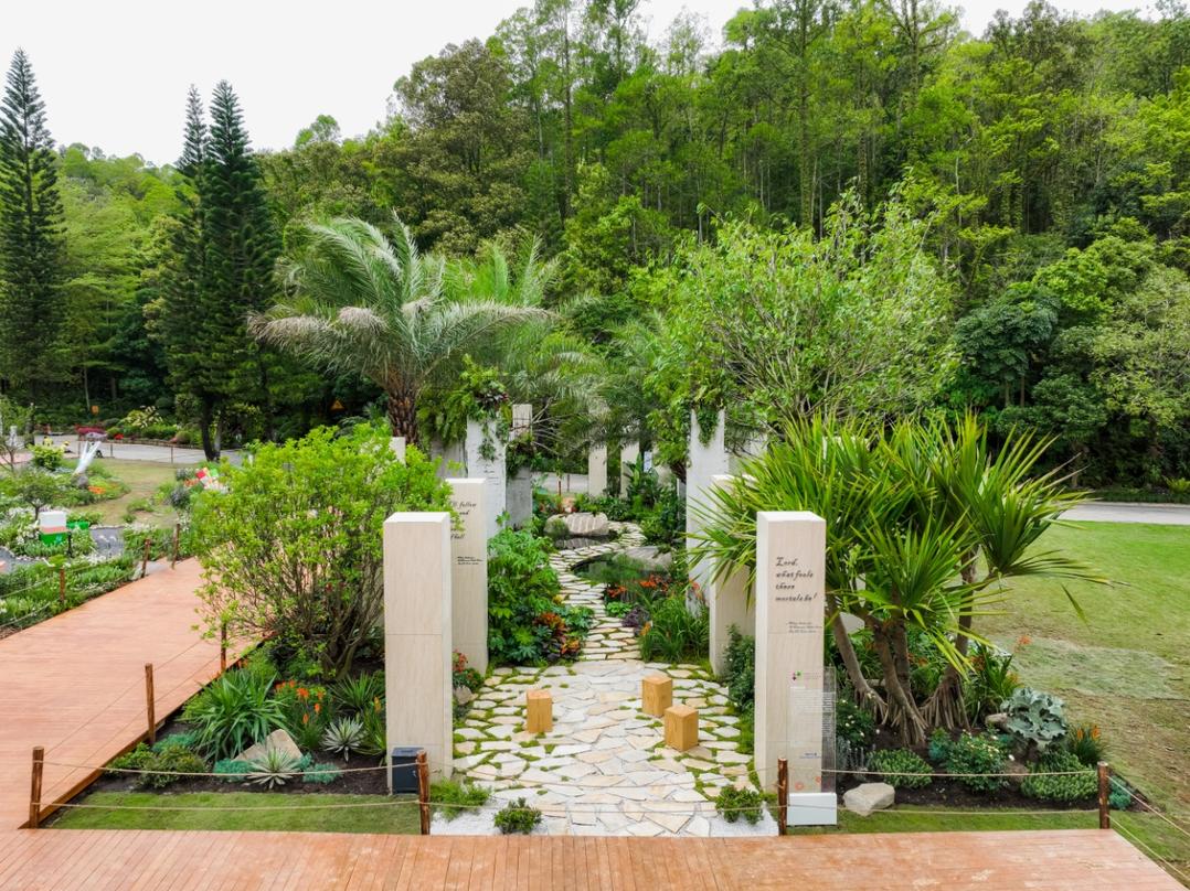 切尔西花展最佳展示花园奖,切尔西花展获奖作品