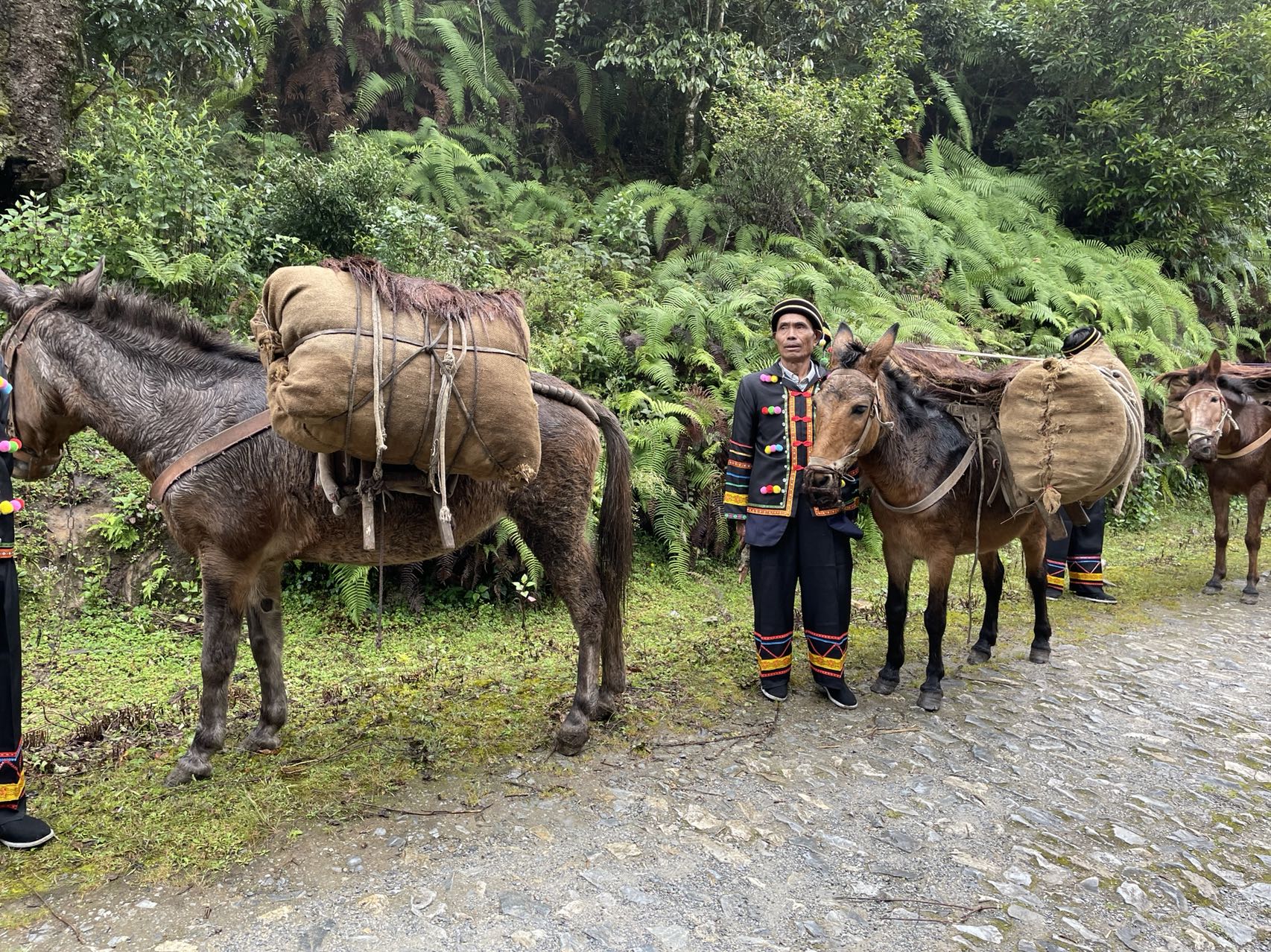 凤庆滇红自然条件,凤庆滇红茶叶之乡简介