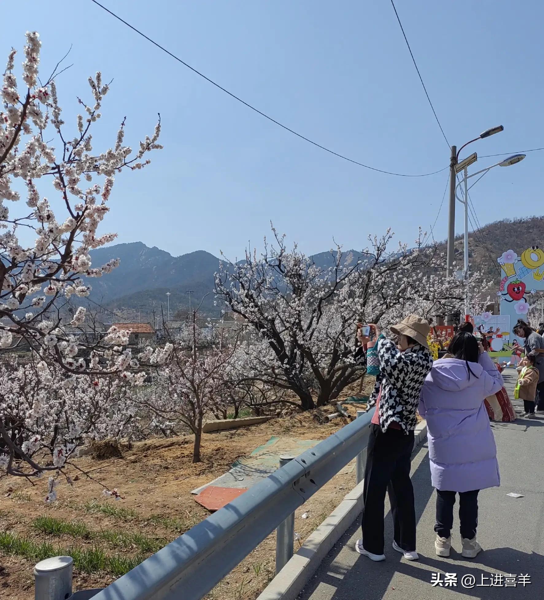 我当民办教师的日子里，兼职洗头姐，学生排着队洗，头上都是虱子