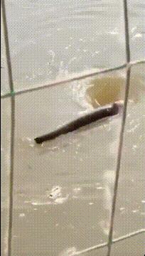 神回复有深度的话,神回复的意思