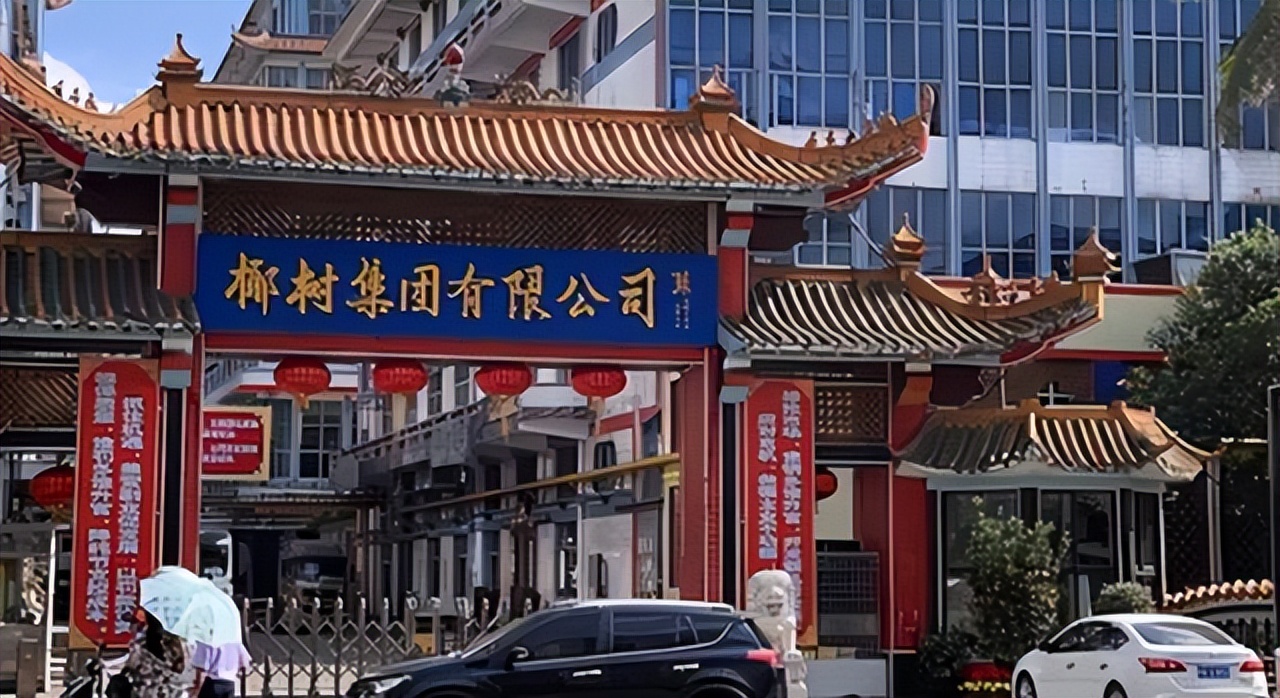 椰树集团学校招生是真的吗,椰树待遇