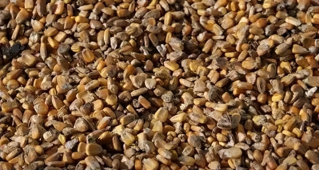 街边小作坊纯粮酒,小作坊自制的纯粮酒靠谱吗