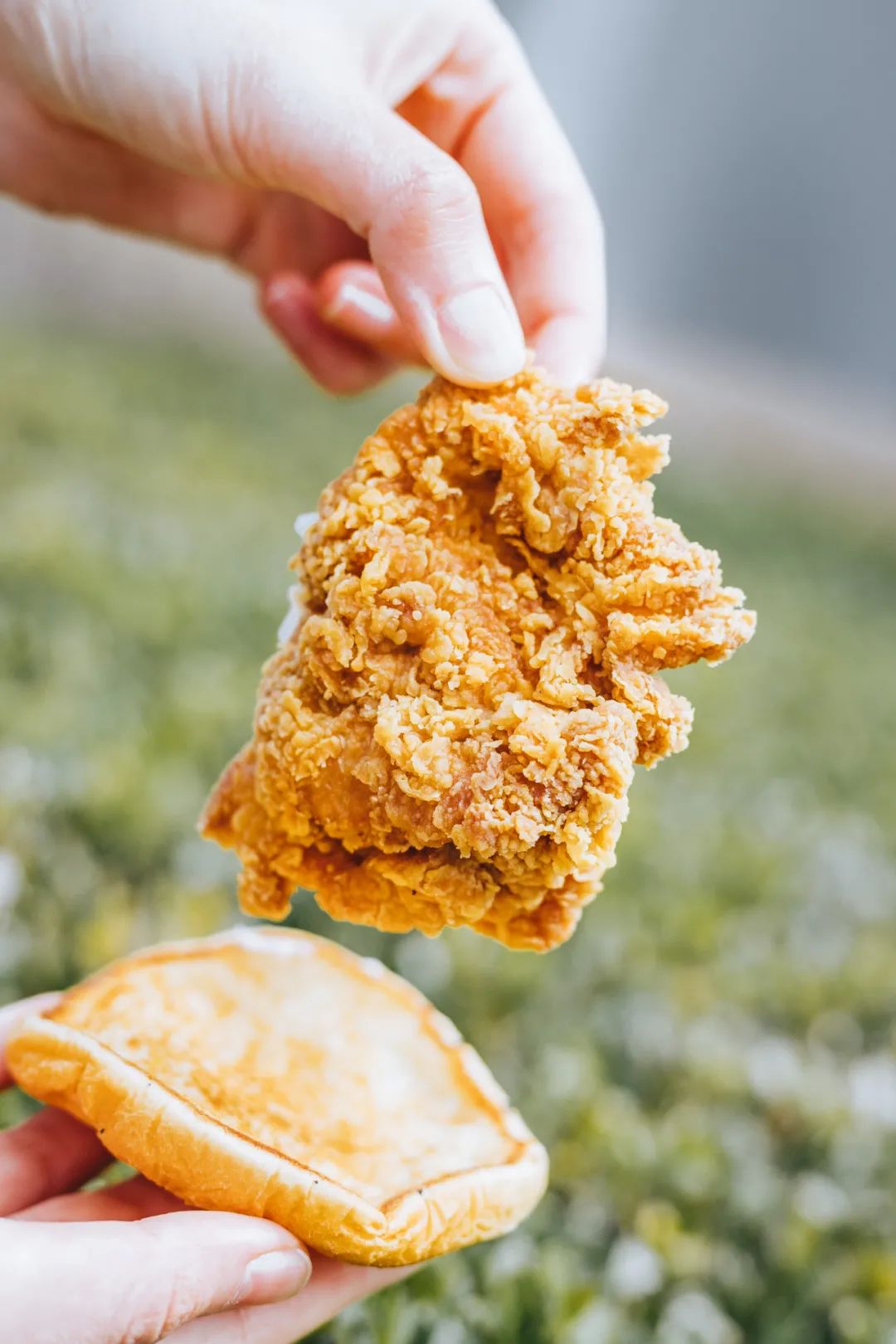 华莱士汉堡炸鸡薯条可乐鸡翅,华莱士为什么只有炸鸡汉堡