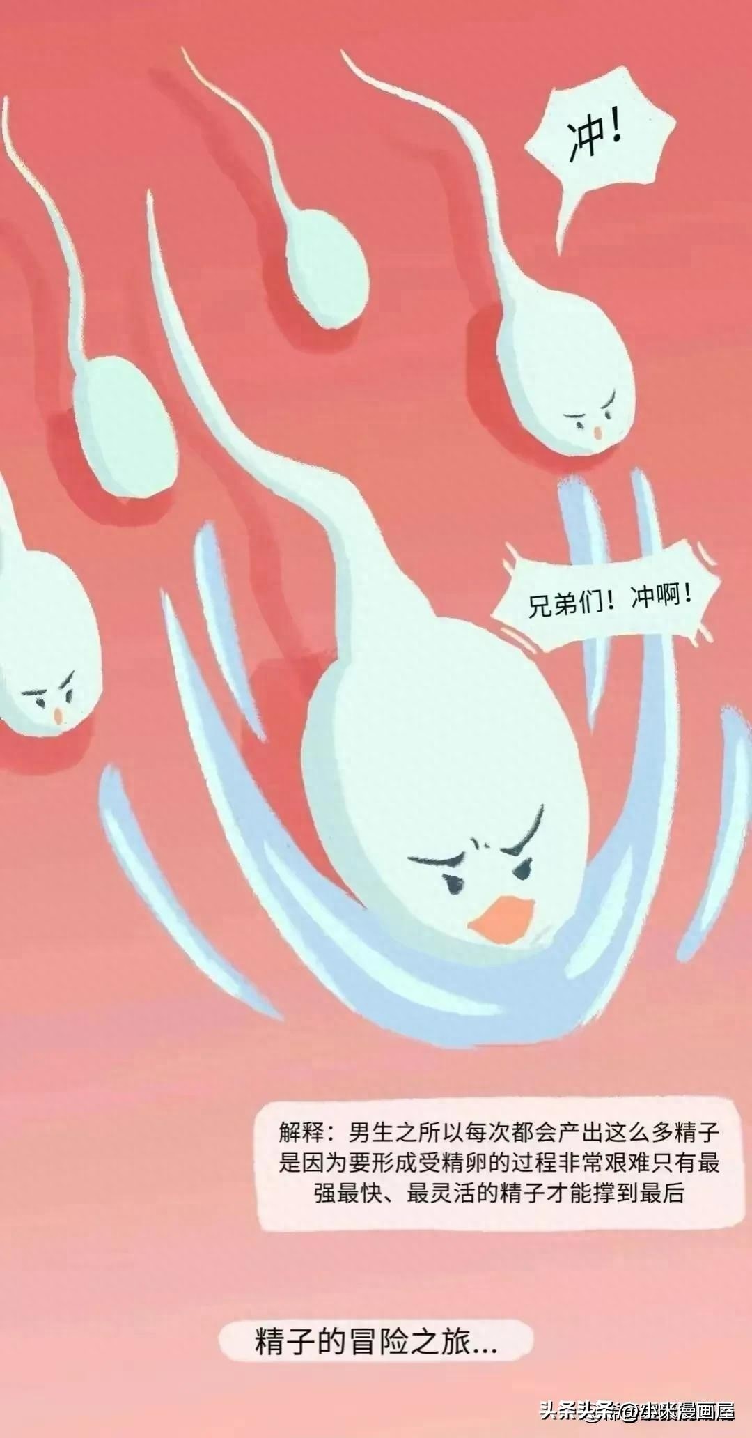 小蝌蚪找妈妈故事完整漫画,漫画中小蝌蚪是什么