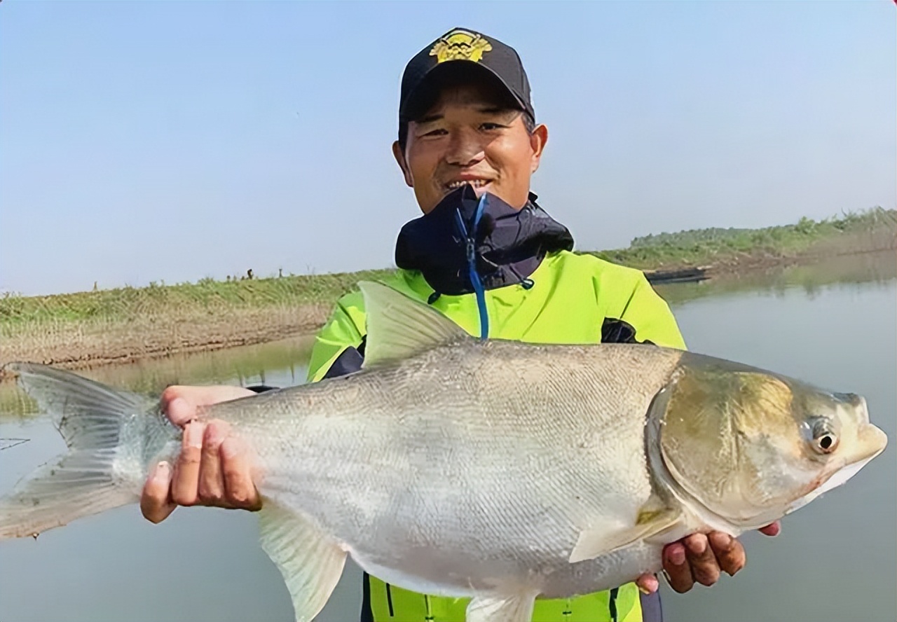 年赚8亿！被中年男人捧红的小作坊，凭什么打脸日本？