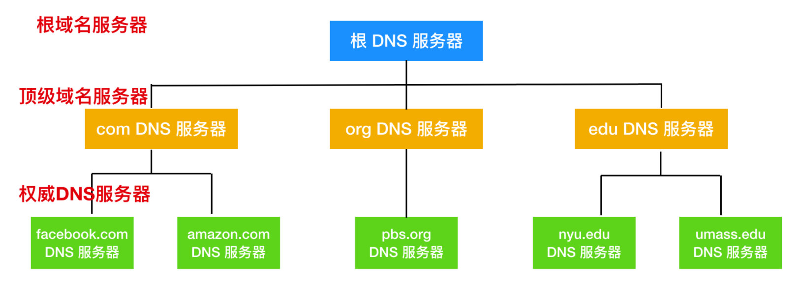计算机网络有几种体系结构,计算机网络基础概念通俗话语