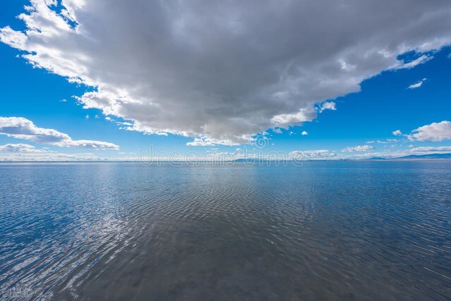 初级中学英语教学教法,英语教学方法及应用