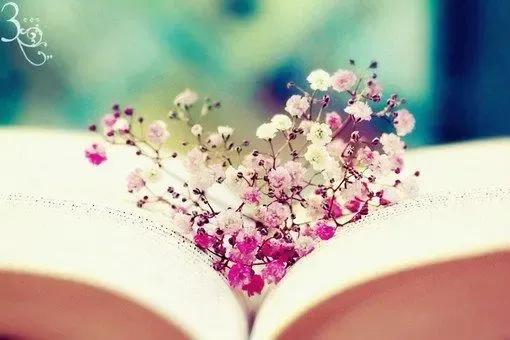 祝福语录经典短句爱情,名人名言爱情语录经典短句