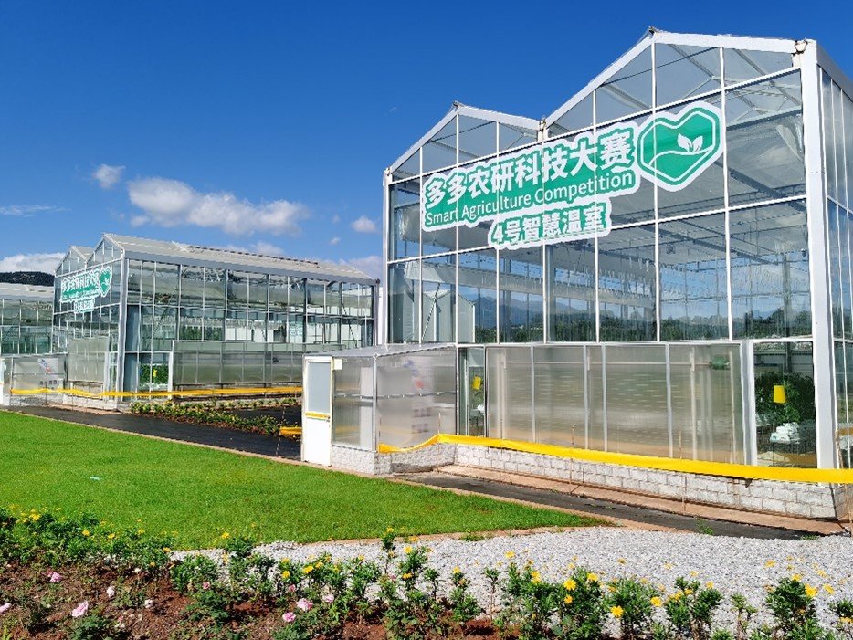 拼多多财报助农高歌猛进,拼多多二季度财报大超预期