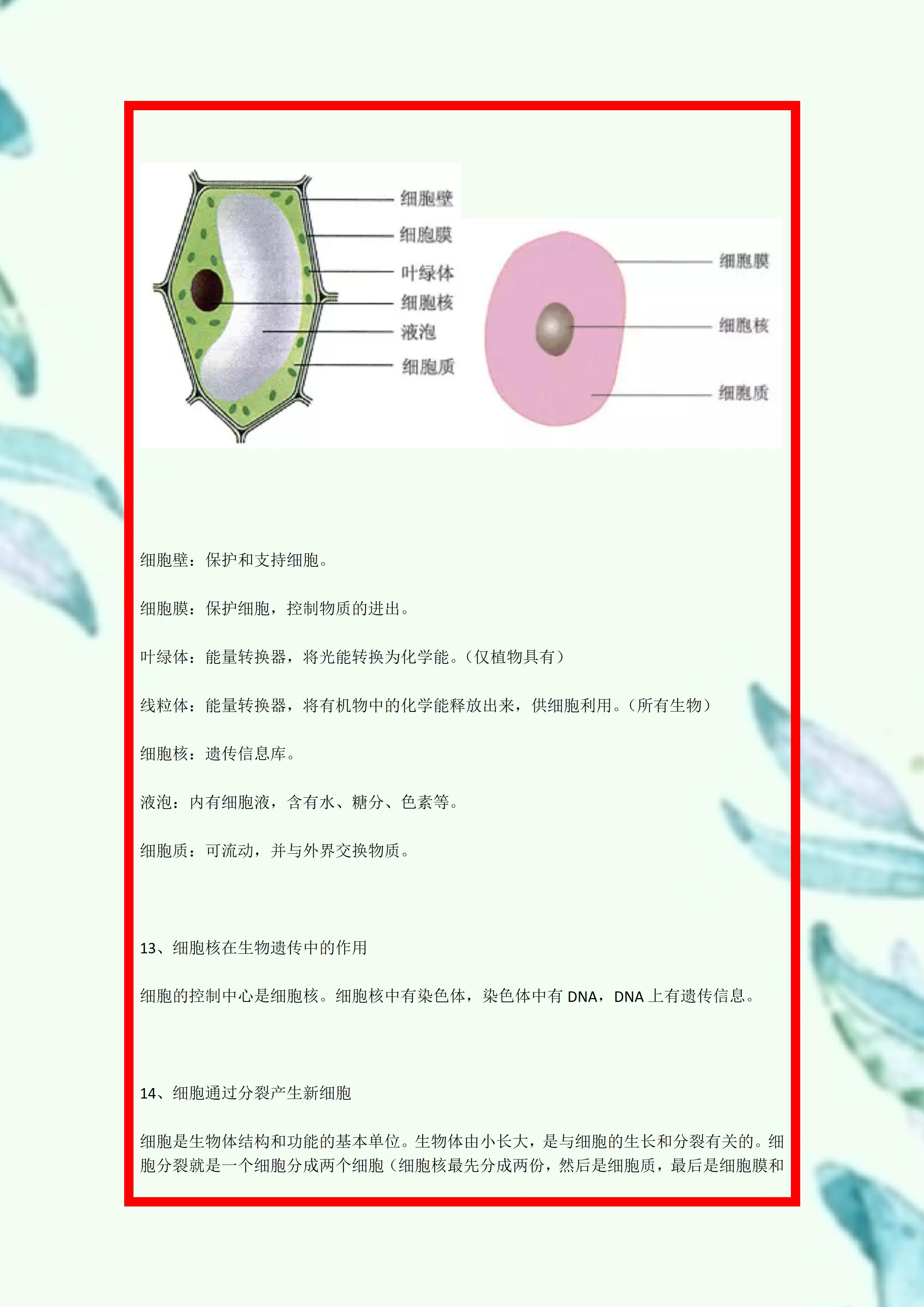 陕西2022初中生物会考知识点,山东德州初中生物会考必背知识点