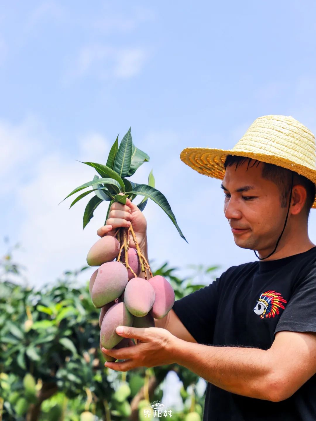 几月最适合吃什么水果,最适合七月吃的水果是什么