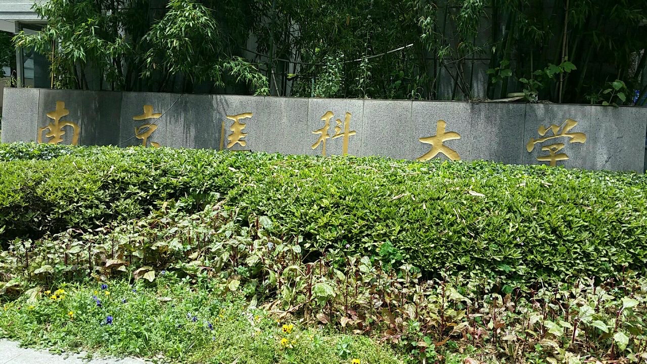 中国十大医药类大学排名,中国十大医药院校
