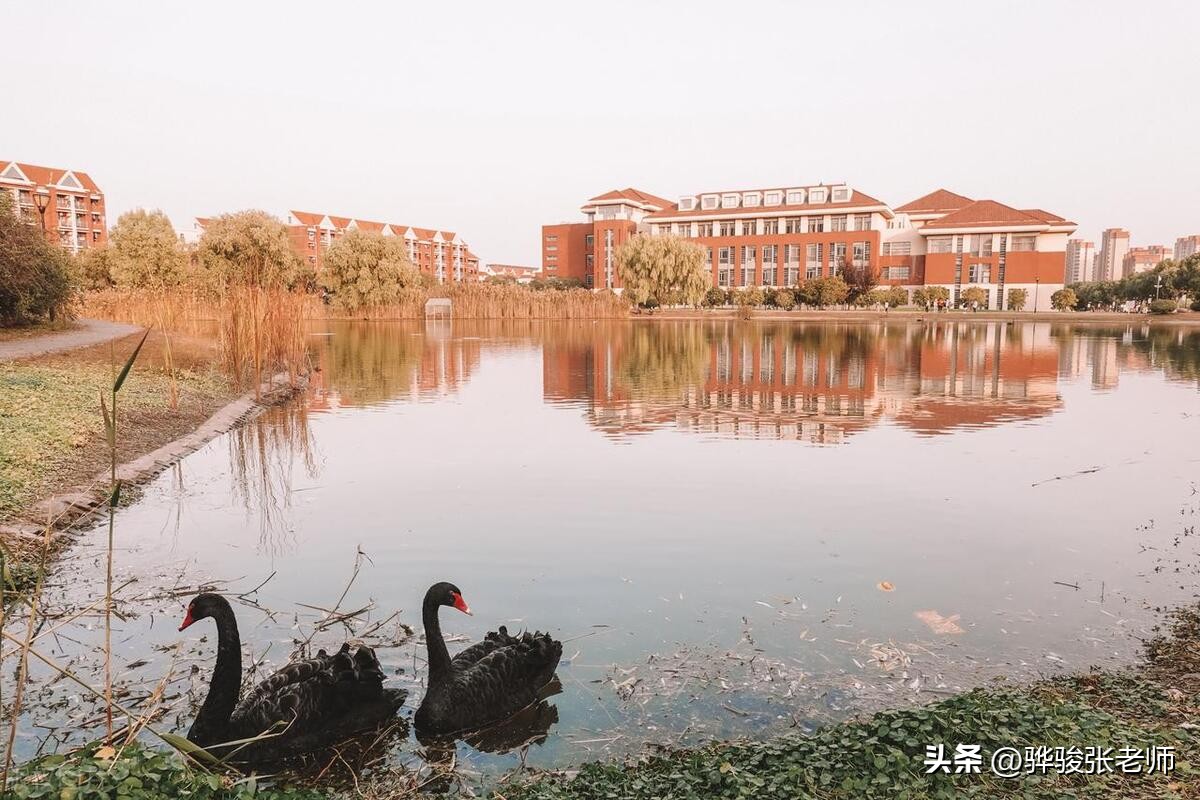 什么时候才有文理科,什么时候学文科