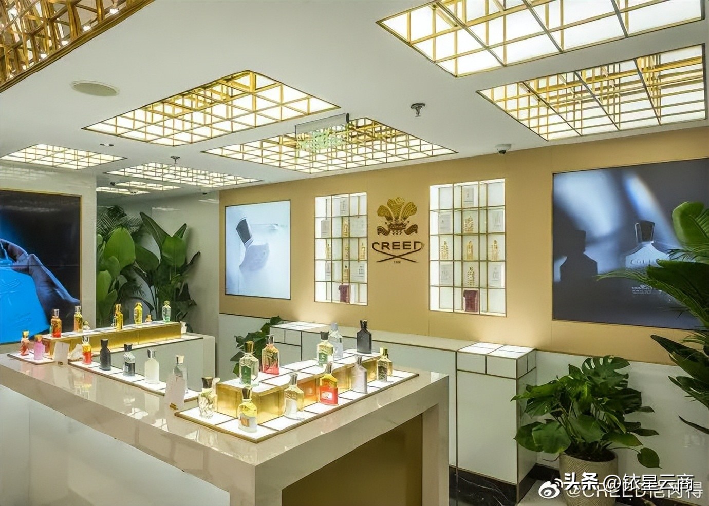 上海盒马门店一览,盒马最新上海店面