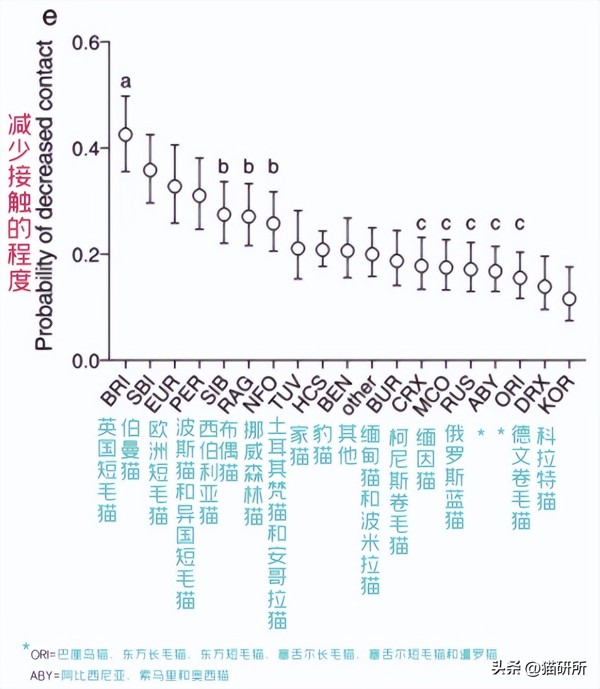 刚来的猫咪太粘人了怎么办,猫咪很黏主人是什么原因