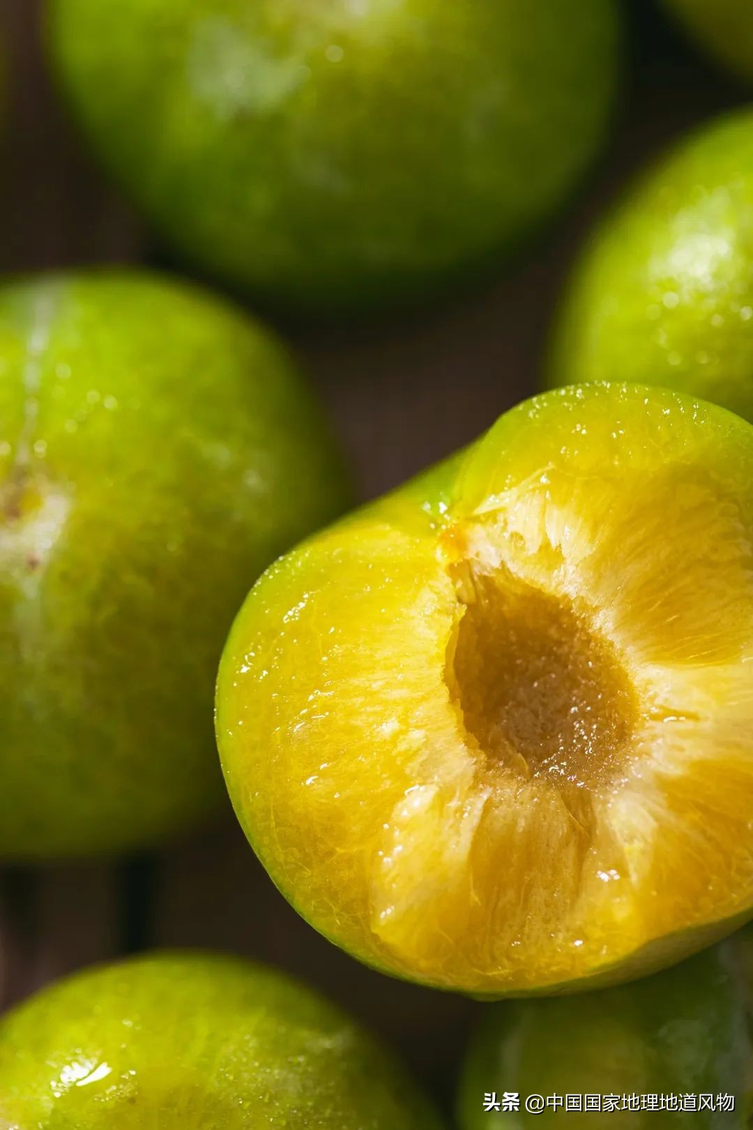 李子哪个品种最甜最好吃,李子种植哪个品种最好吃