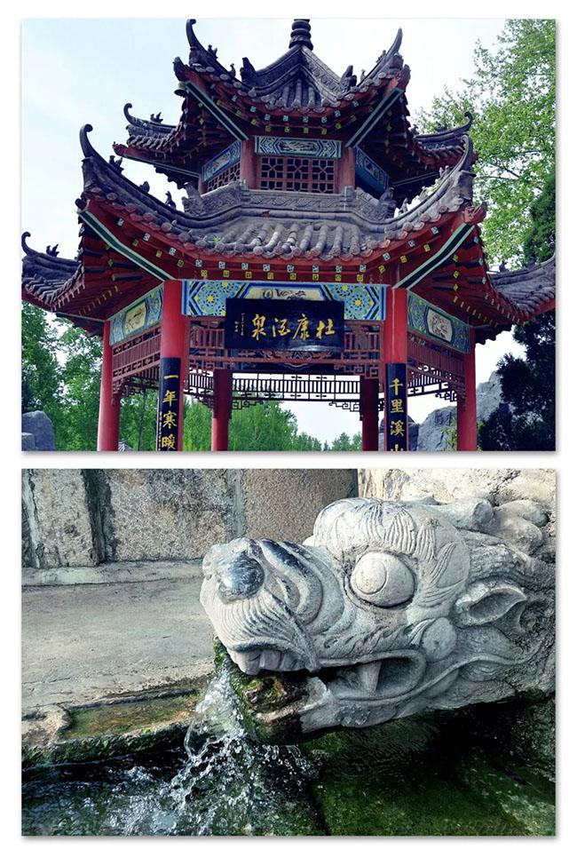 杜康酒为啥不火,杜康酒为什么有的人不愿意喝了