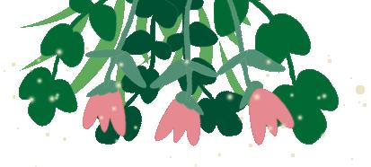 健康体检必须做的项目及处理建议,健康体检常识指引内容