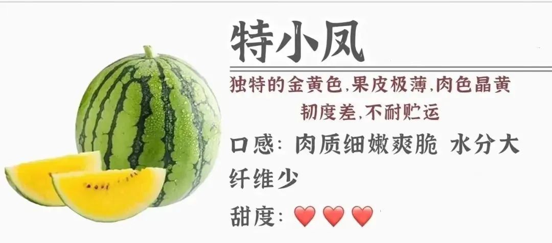 三伏天吃瓜群众,三伏天如何做一个合格的吃瓜群众