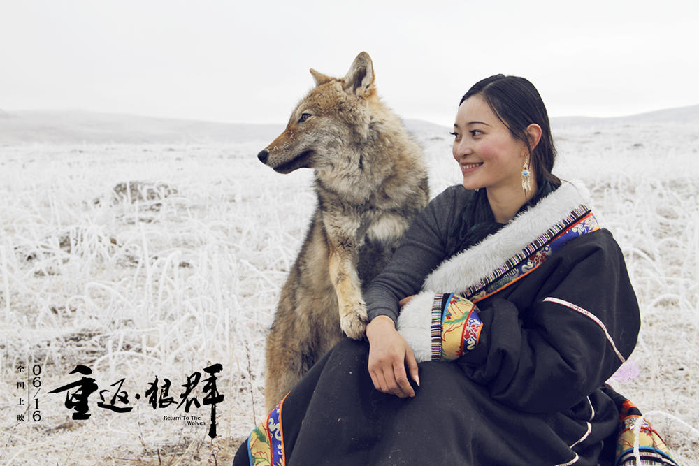 狼十年后报恩,狼是如何报恩的