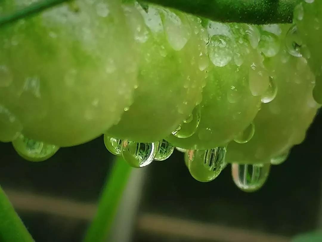 岁月斑驳留下来的都是静好时光,岁月斑驳愿时光静好